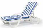 Chaise Cushion w / Hood